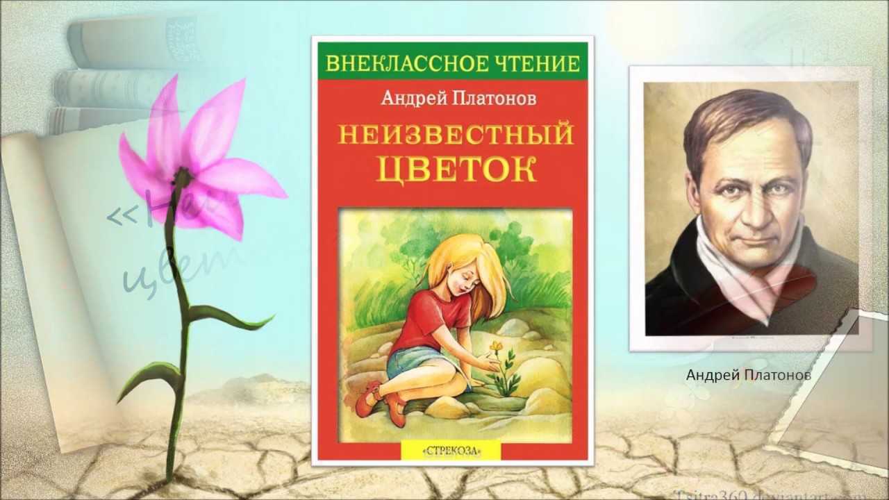 ✅ а п платонов неизвестный цветок анализ. сочинение-эссе по сказке-были платонова «неизвестный цветок - radostvsem.ru