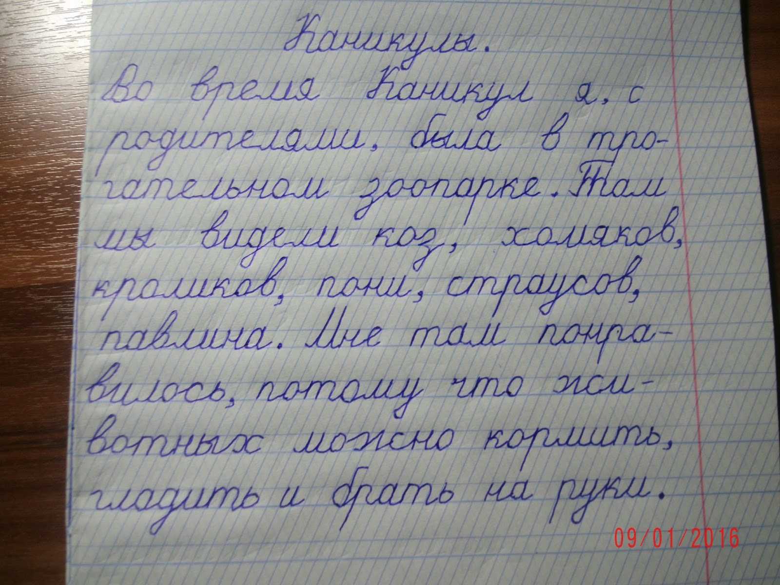 Сочинение по теме зимние каникулы 2,3,4,5,6,7,8 класс по плану