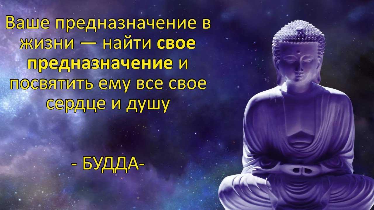 7 лучших сочинений на тему «где бы я хотел жить»