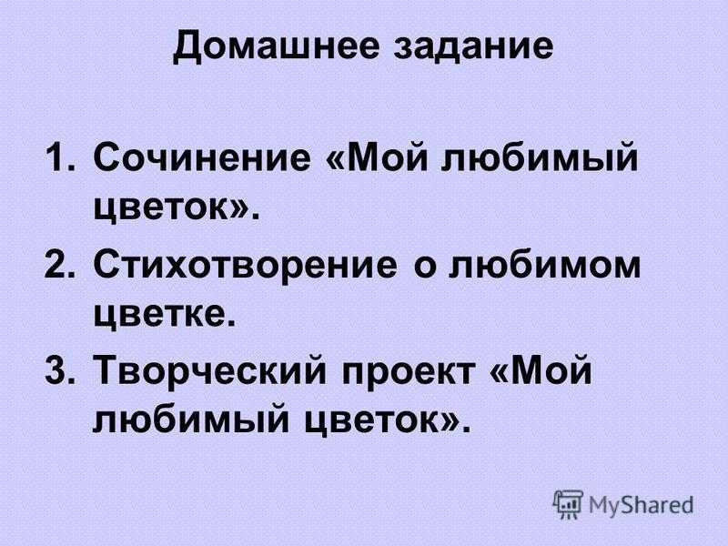 Сочинение на тему мой любимый магазин на английском