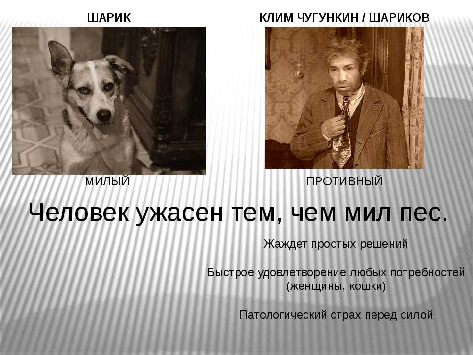 Краткое содержание романа «доктор живаго»