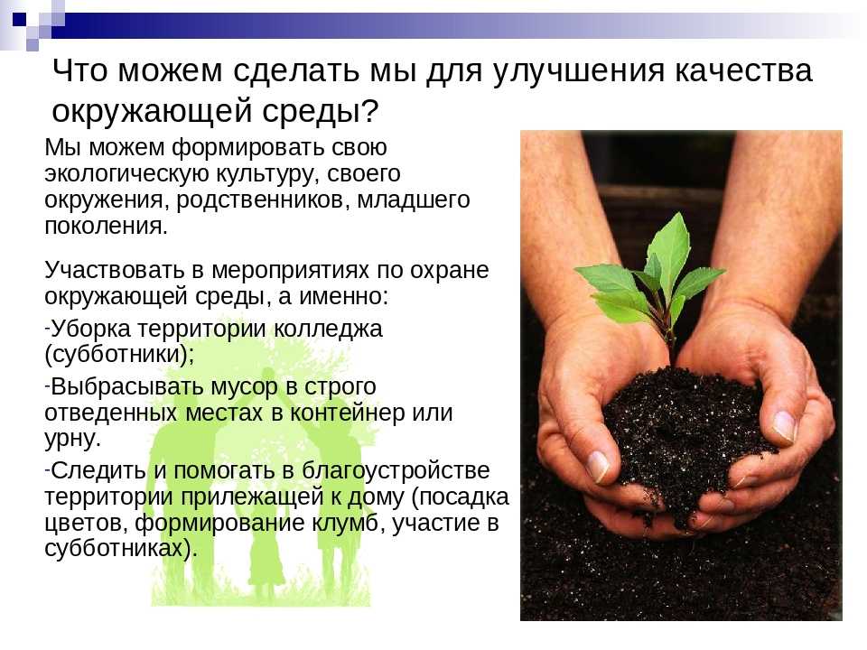 Сочинение на тему охрана природы