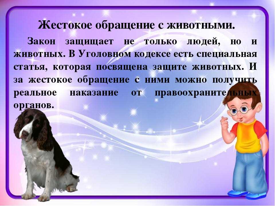 Сочинение жестокое обращение с животными