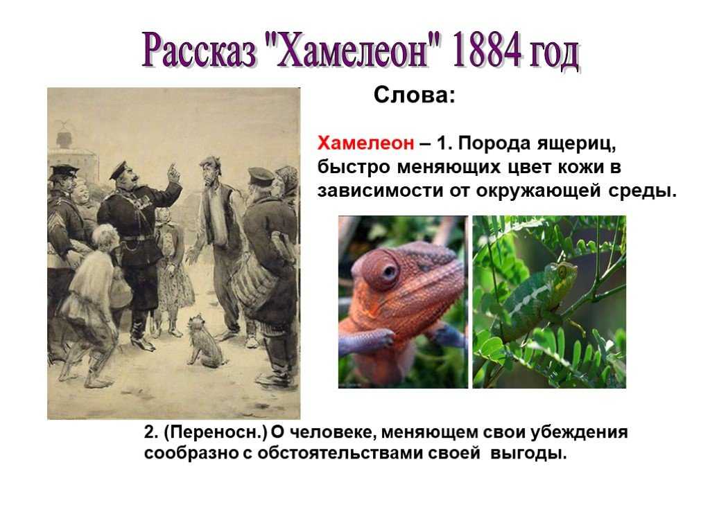 Анализ произведения "хамелеон"(а.п. чехов)