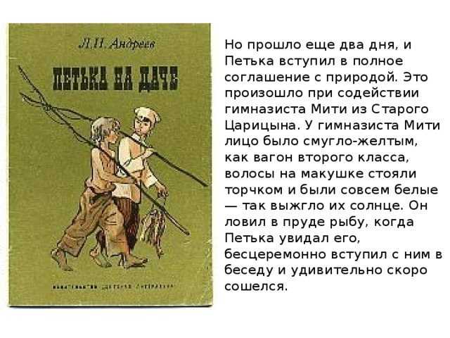 Главный герой рассказа – десятилетний мальчик Петька Он младший помощник в парикмахерской Ему не особо нравится однообразная, грязная жизнь в городе, где он рано начинает видеть всю неприглядную сторону мира,