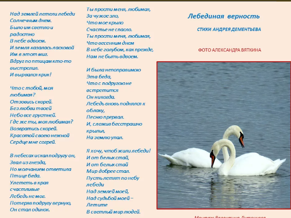 Что такое лебединая верность: определение и примеры