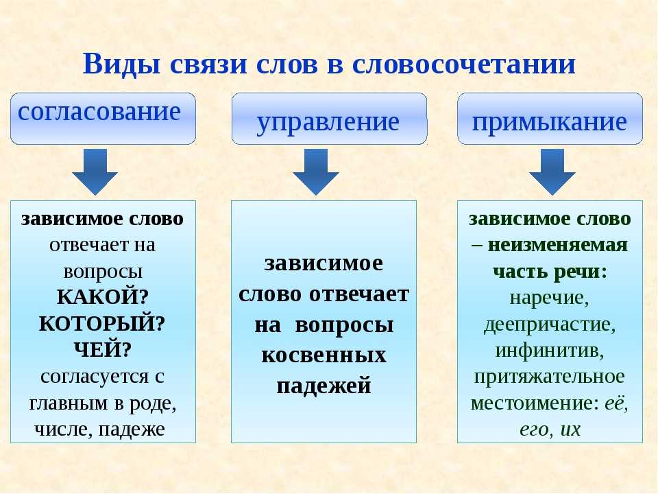 Сочинение на тему «как я однажды спас котенка. что написать в сочинении на тему "как я однажды помогал маме"