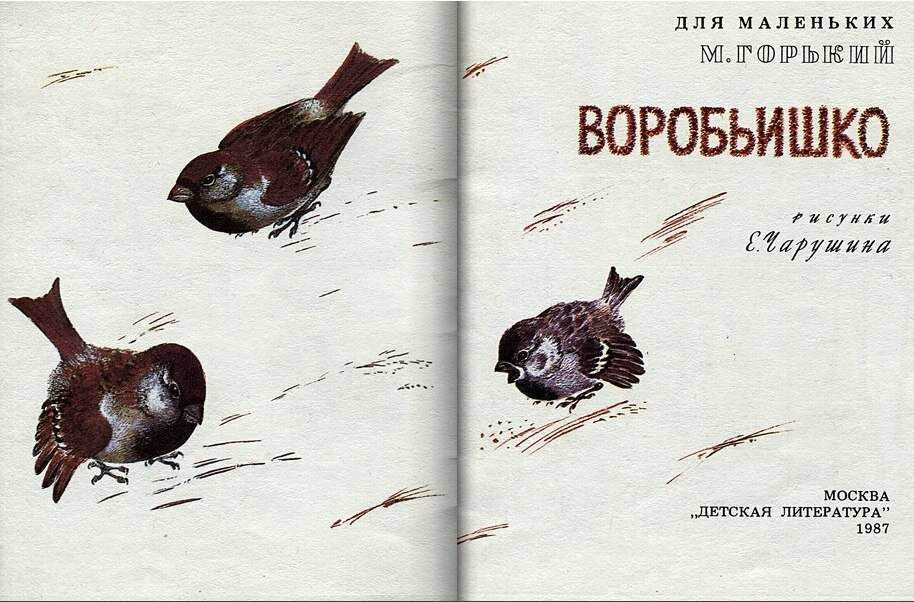 Изложение воробьишко 5 класс конспект урока