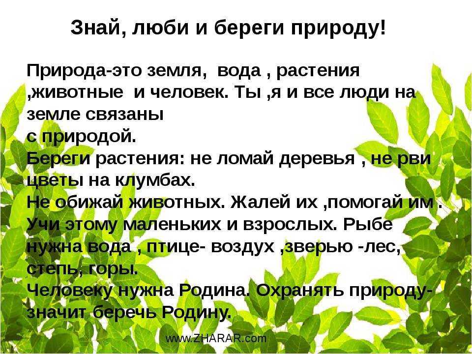 Человек и природа. сочинения для 5-6-7 класса | диалоги мам
