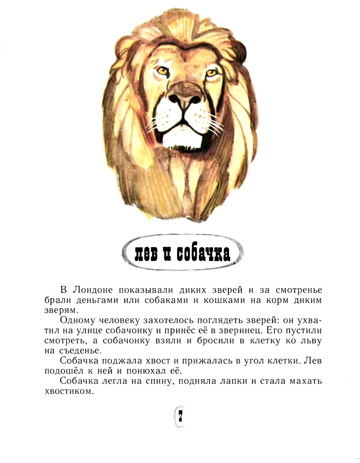 Лев и собачка