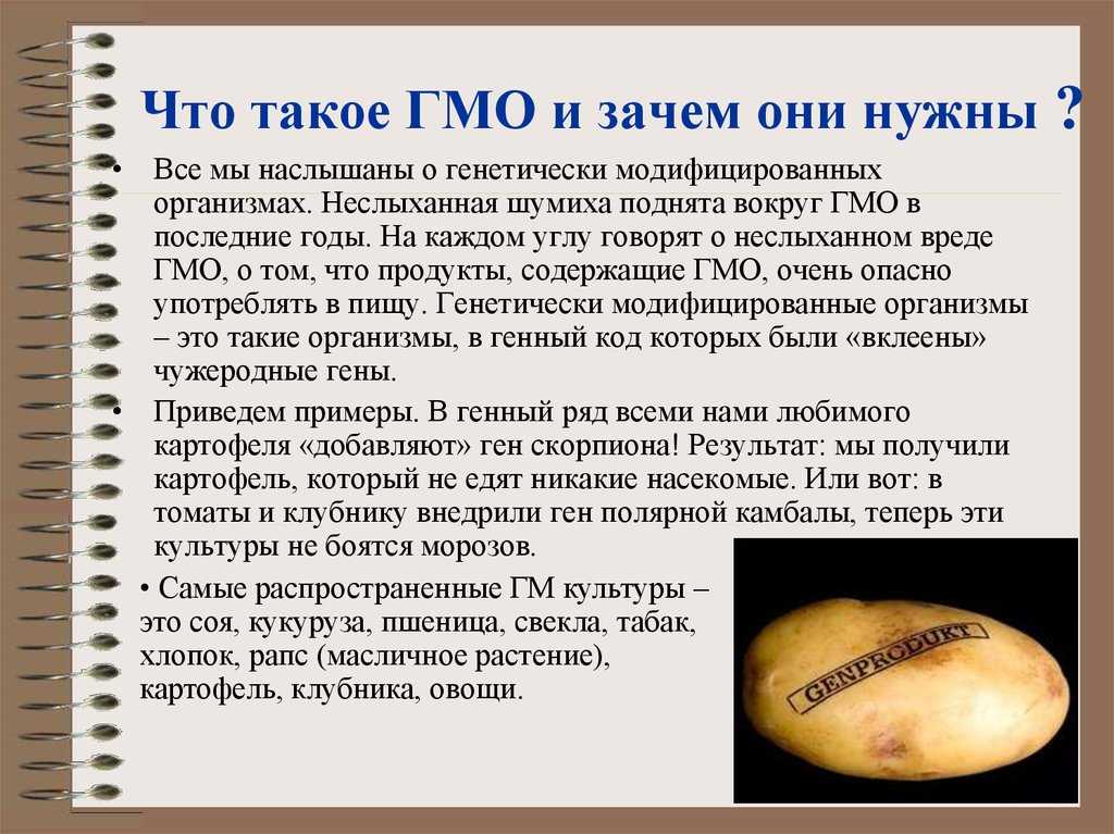 Эссе на тему гмо еды