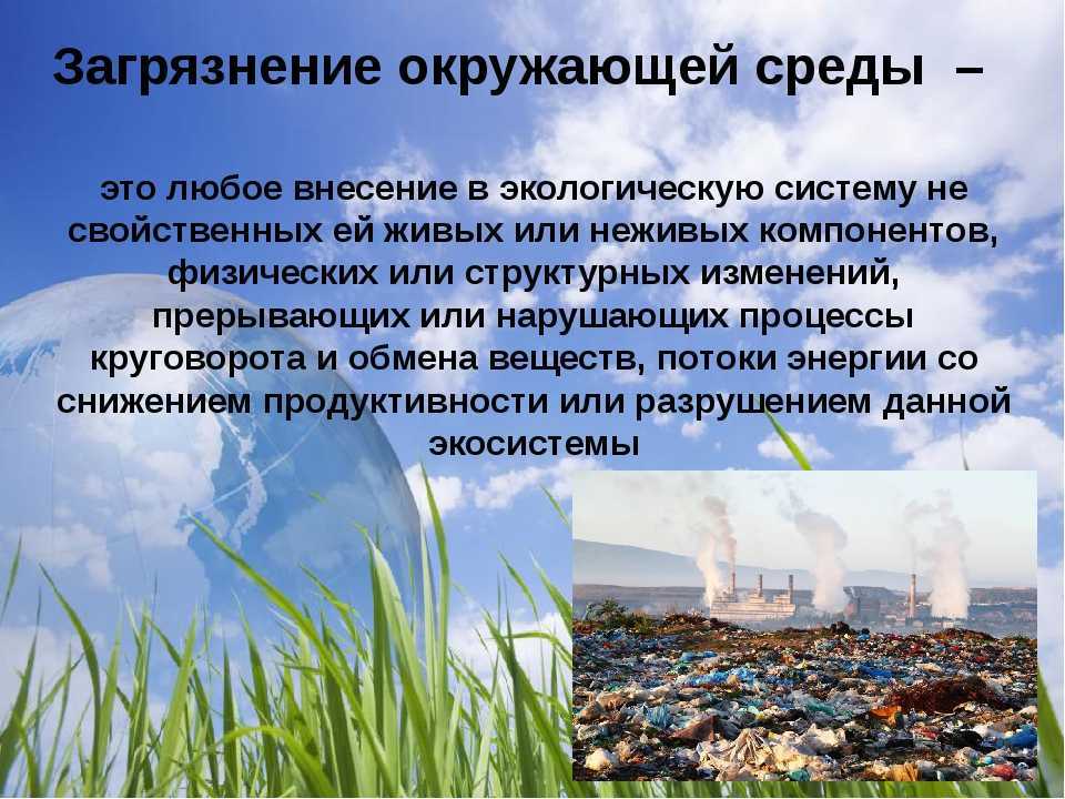 Образ маленького человека в рассказах чехова – описание проблемы для сочинения по теме