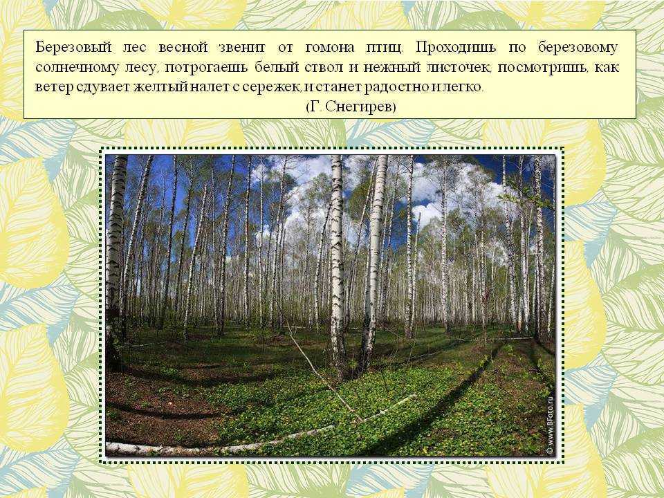 Сочинение про весну 7 класс