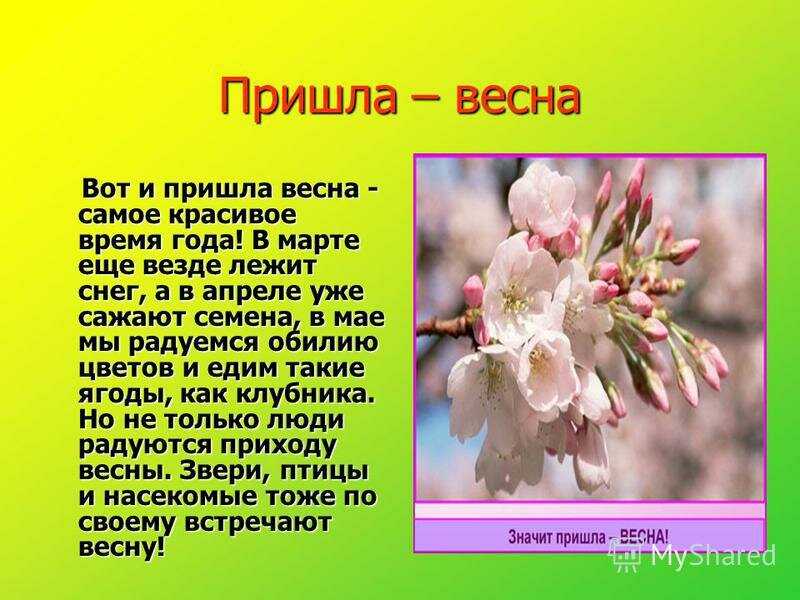 Весна - моё любимое время года: лучшие сочинения 1-7 класс