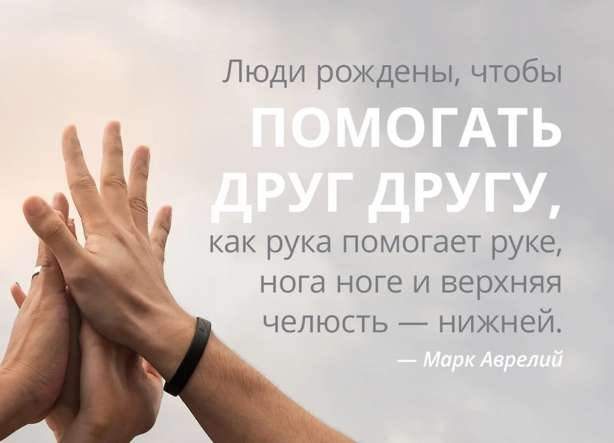 ✅ примеры взаимопомощи в литературе. ⁠аргументы к сочинению - vek-msk.ru