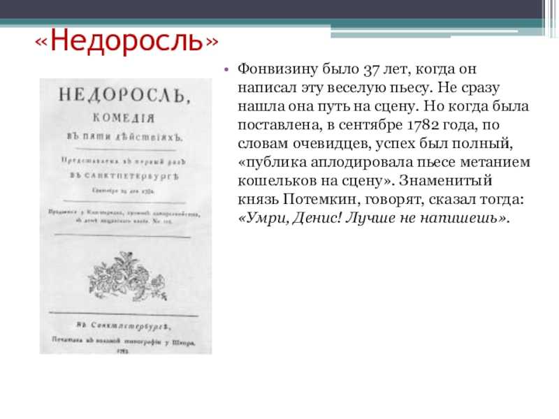 Смысл комедии недоросль: объяснение сюжета и концовки