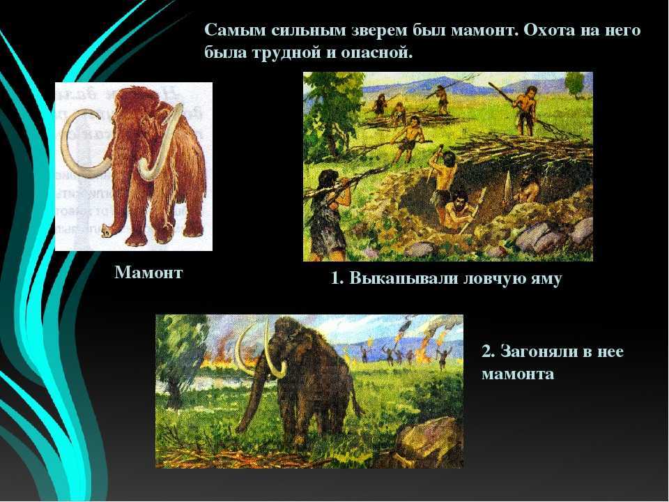 Авторское сочинение мечик в романе разгром фадеева (характеристика и образ) - сочинить.ру
