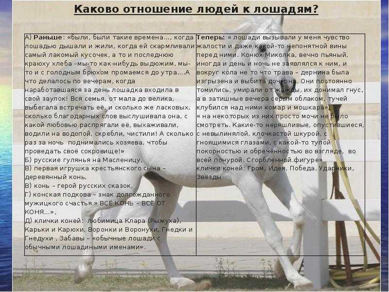 «о чем плачут лошади» краткое содержание рассказа абрамова – читать пересказ онлайн
