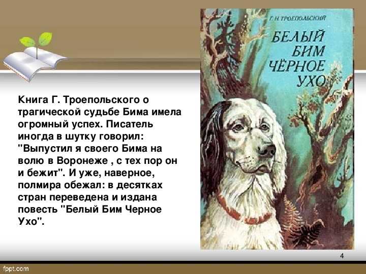 Краткое содержание повести троепольского «белый бим черное ухо»
