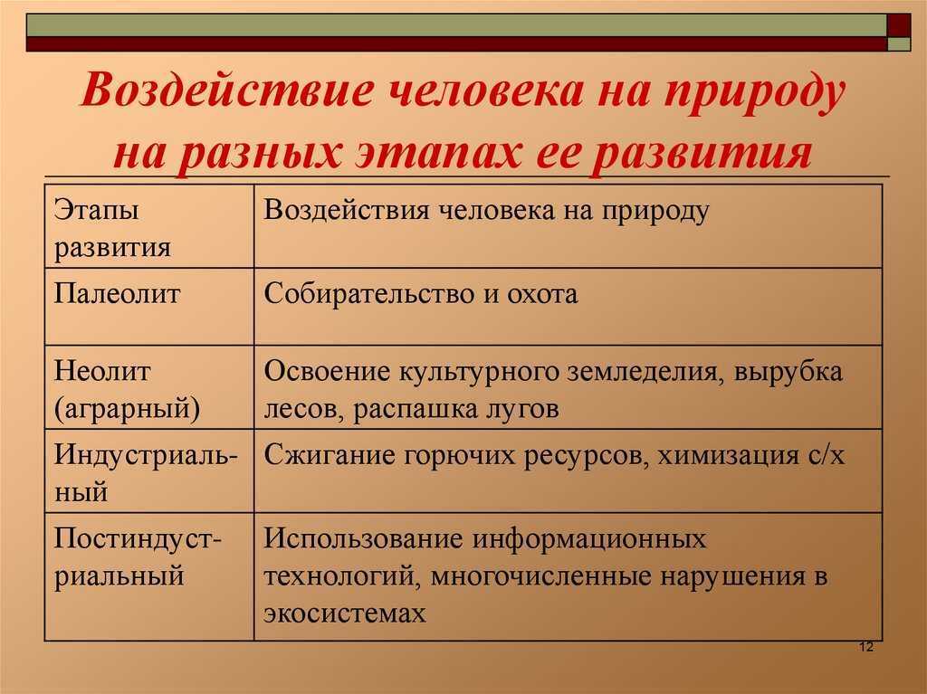 Образец эссе (структура эссе) «личностью не родятся, личностью становятся» | авторская платформа pandia.ru