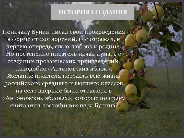 «антоновские яблоки» - анализ произведения бунина | readcafe