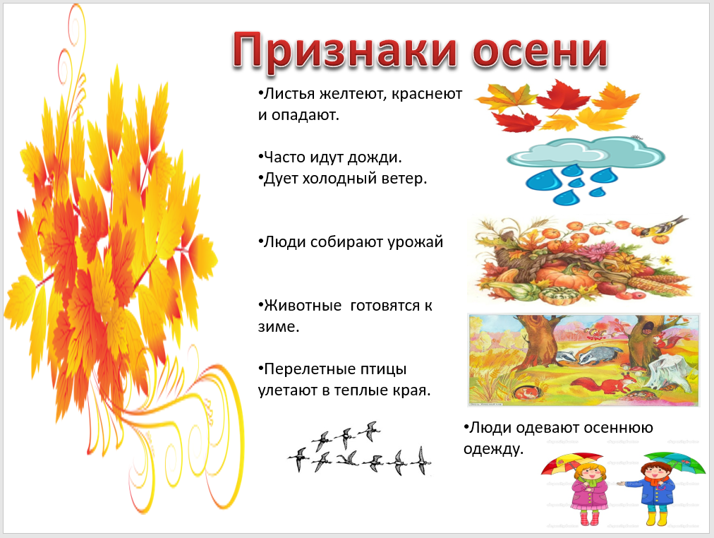Упражнение 11 - гдз русский язык 4 класс. канакина, горецкий. учебник часть 1