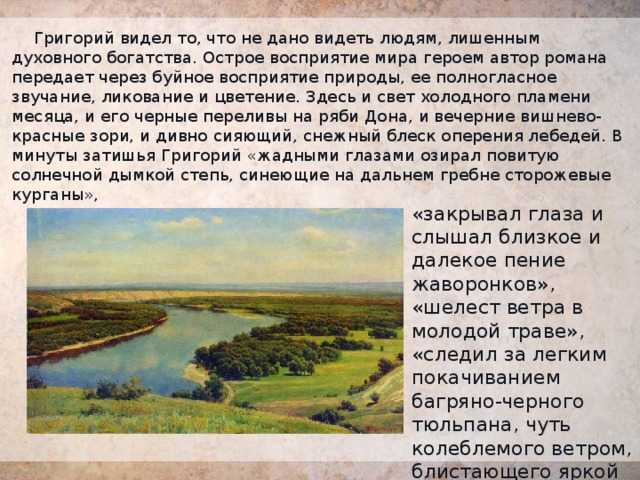 Интересные факты из жизни и биографии михаила шолохова