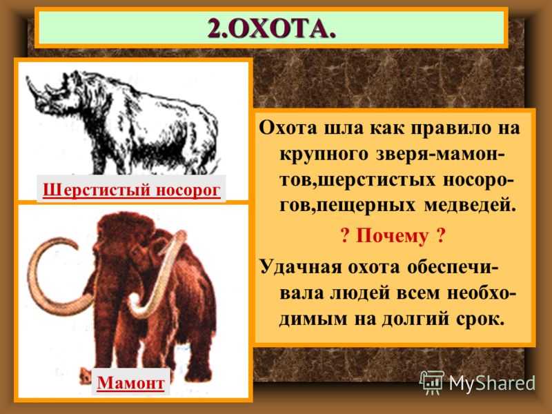 Характеристика молчалина