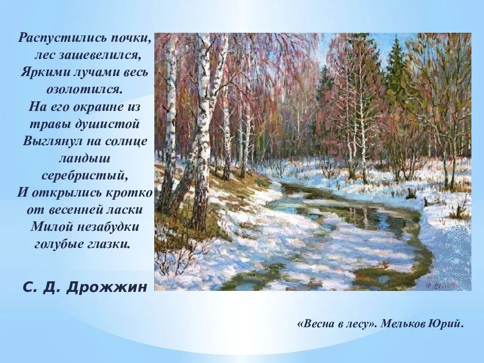 Testsoch.ru
