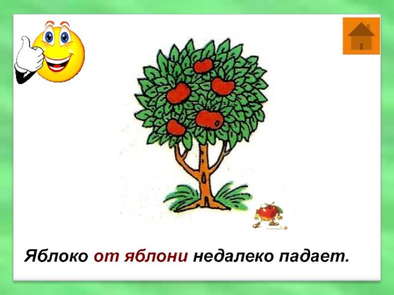 Сочинение подслушанный разговор книг в библиотеке с прямой речью 6 класс