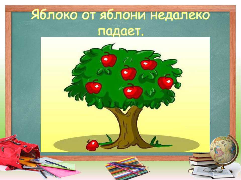 Яблочко от яблони недалеко падает. сочинение-рассуждение по пословице «яблоко от яблони недалеко падает