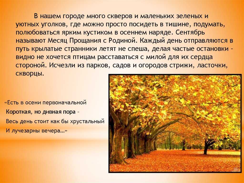Примеры текстов сочинений для 5 класса на тему «осень»