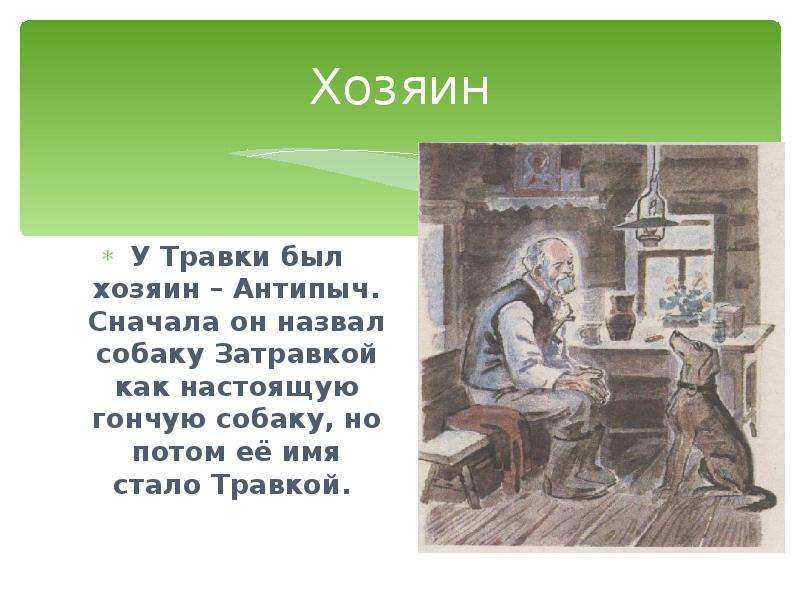 Собака травка из рассказа кладовая солнца пришвина характеристика и образ. история травки- по рассказу "кладовая солнца" характеристика собаки травки кладовая солнца