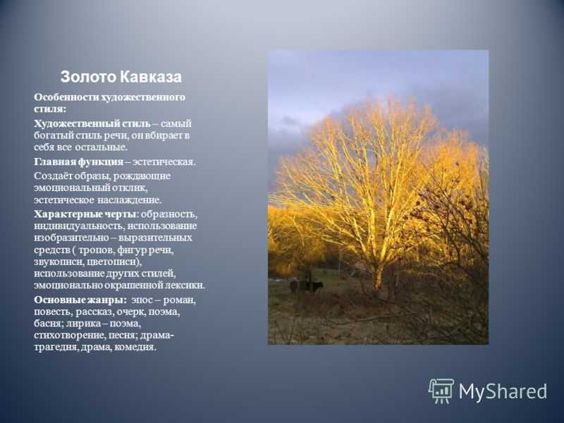 Сочинение на тему мой любимый уголок природы