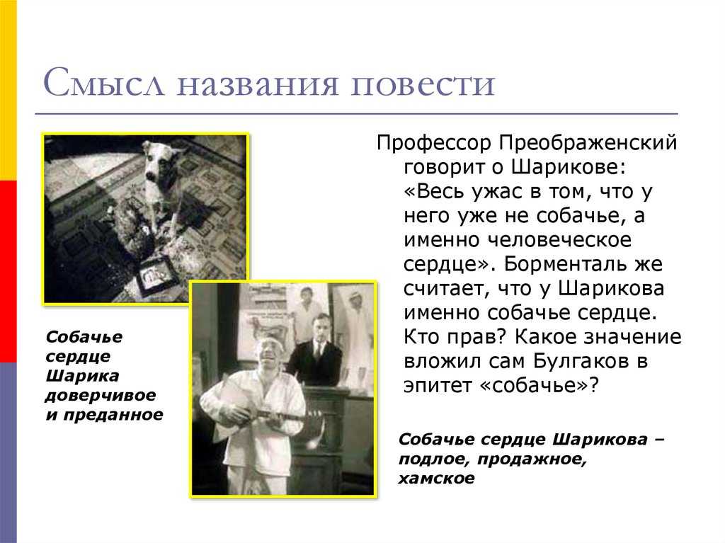 Профессор преображенский осуществляет эксперимент по "очеловечиванию" собаки. кто и как в повести проводит эксперимент по «расчеловечиванию» человека и превращению - ответов.рус