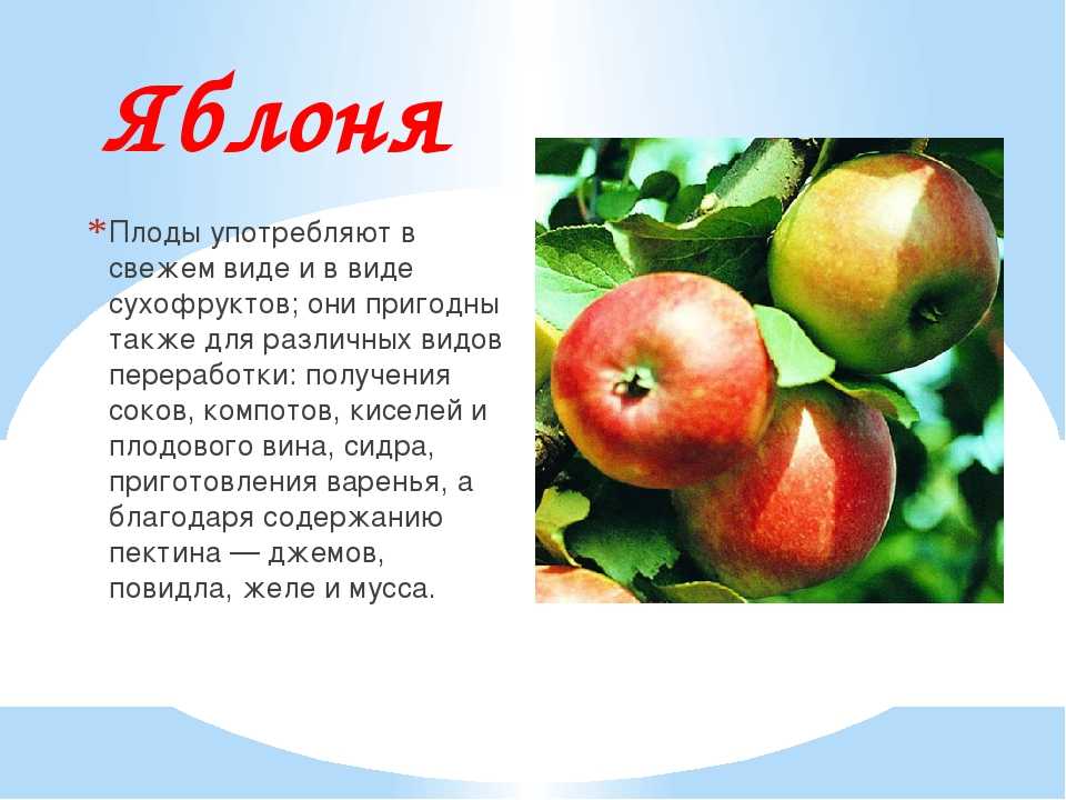 Сочинение на тему весна (по русскому языку, в городе, деревне) | ism-print.ru