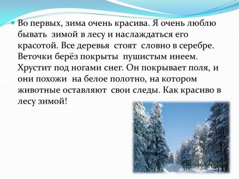 Сочинение «зимний лес» 3-4-5-6 класс
