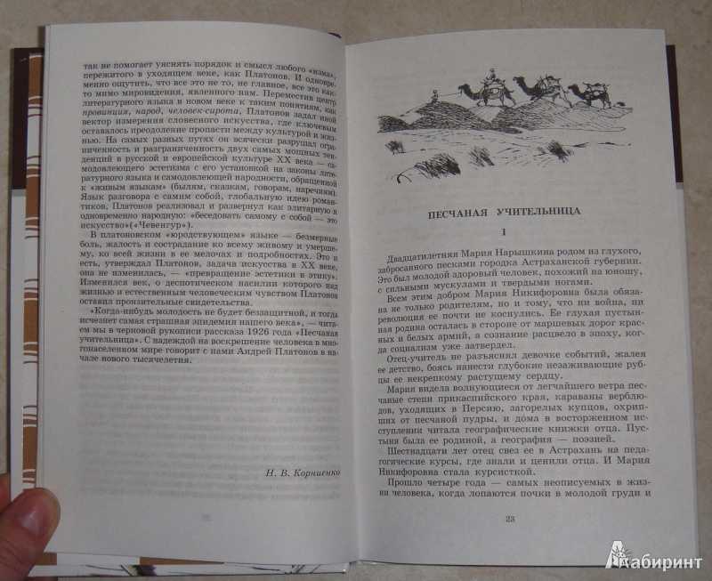 Анализ рассказа на заре туманной юности платонова сочинение