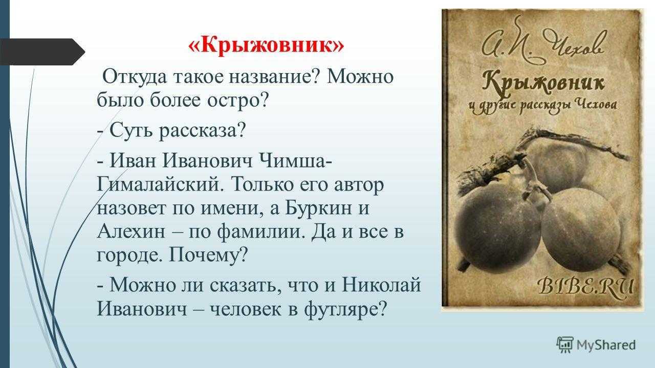 Можно ли понять и оправдать героя крыжовник. анализ «крыжовник» чехов. композиция и сюжет произведения