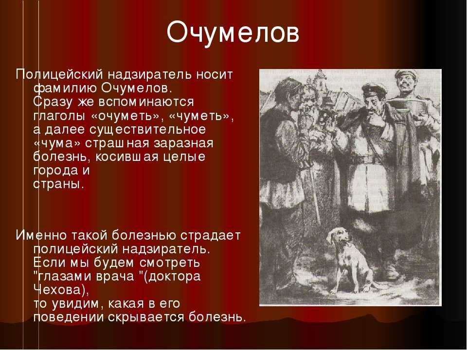 Главные герои «хамелеон» характеристика персонажей рассказа чехова с описанием для читательского дневника