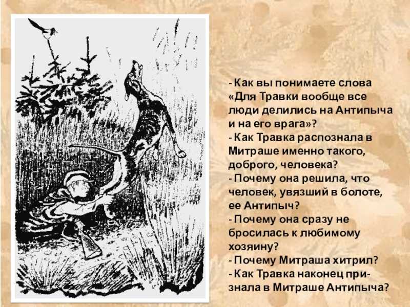 Перечитываем, размышляем. образ и характеристика травки из рассказа кладовая солнца пришвина сочинение