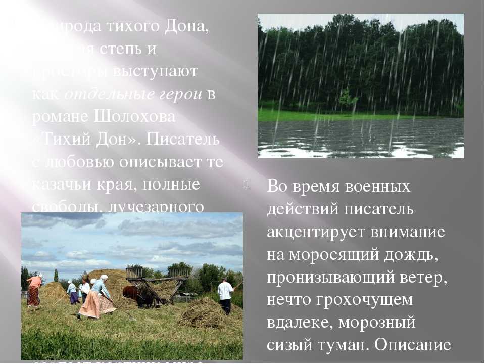 Роль пейзажа в романе м. а. шолохова «тихий дон». (тихий дон шолохов)