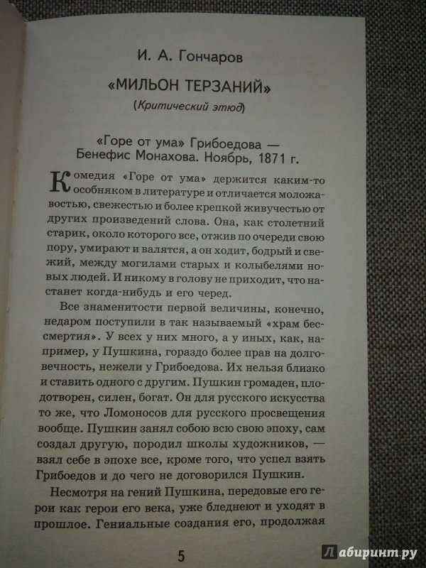 Кратко «мильон терзаний» и. а. гончаров