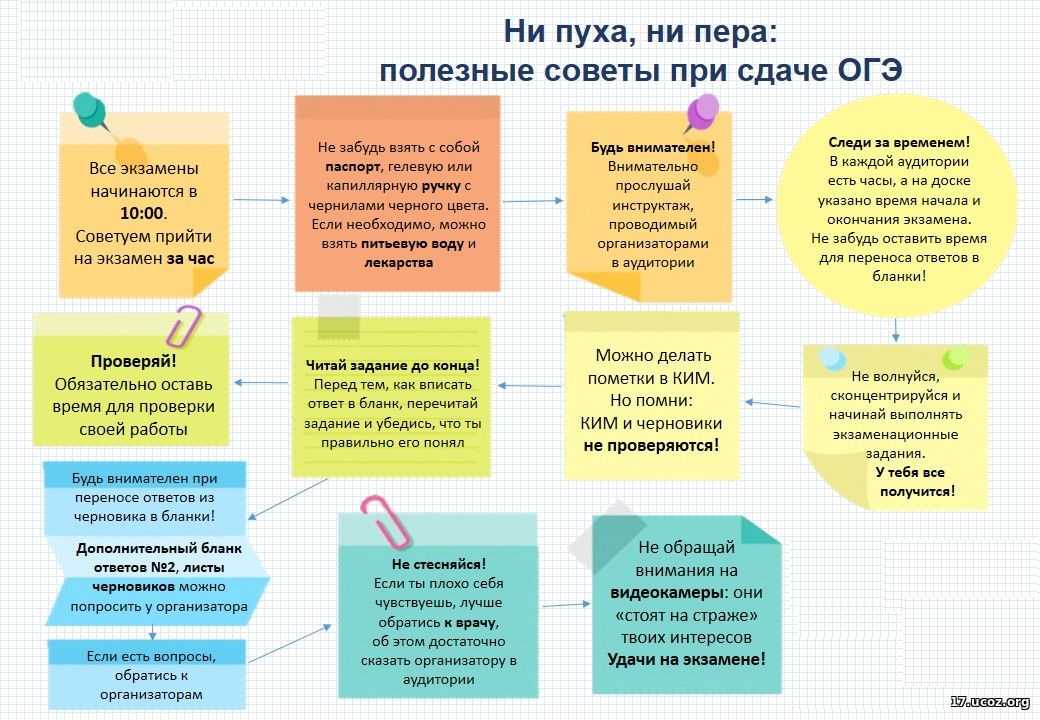 Опишите семью туркиных кратко