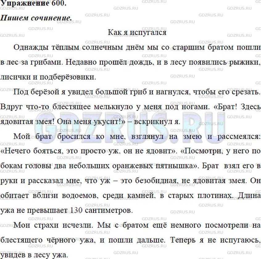 Сочинение на тему: моё увлечение (11 вариантов и 12 похожих топиков)