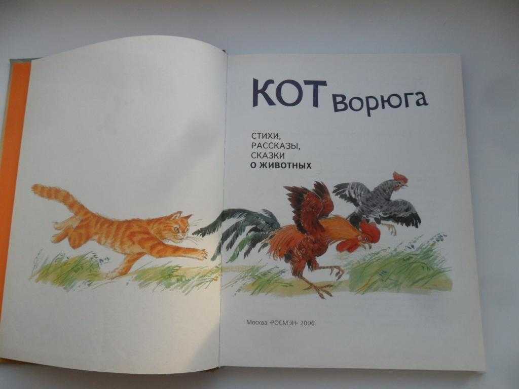Итоговое сочинение: какова роль исторических памятников?