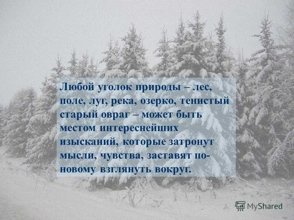 Сочинение на тему: моё любимое место (3 варианта и 7 похожих топиков)