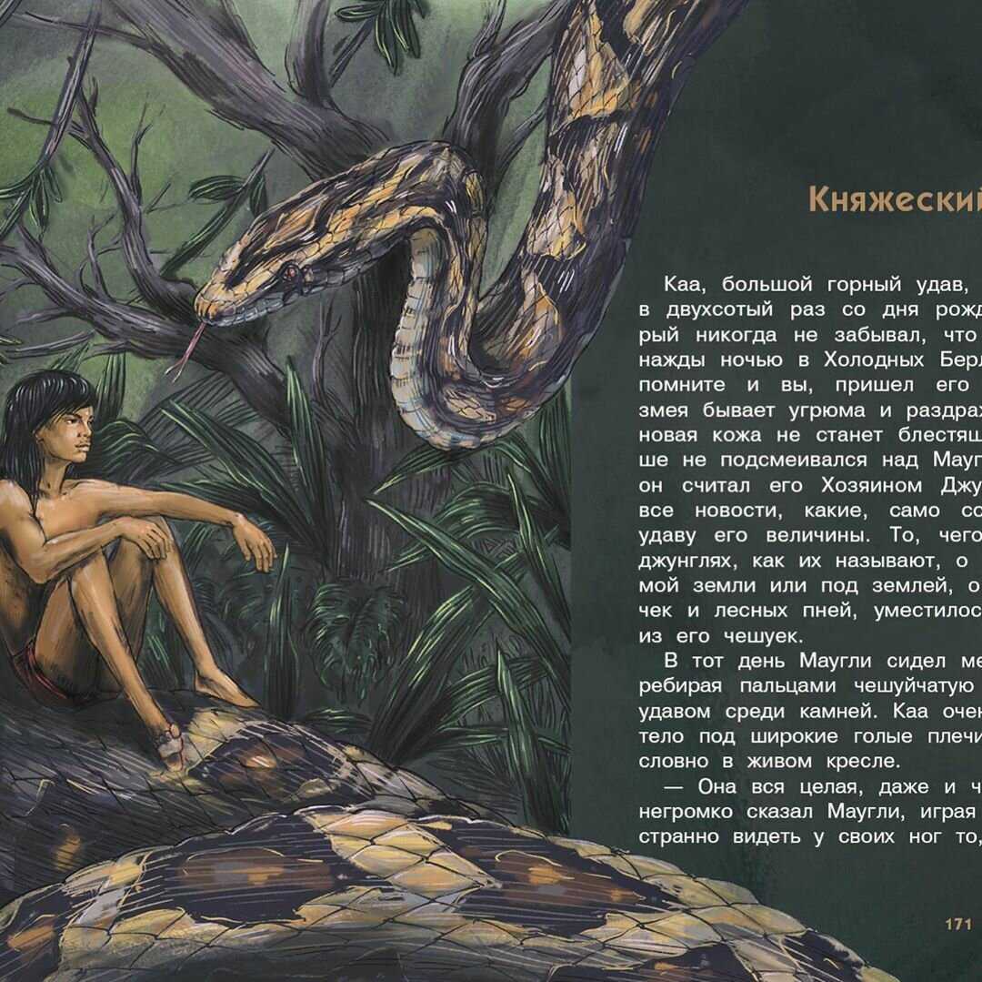 "маугли" - краткое содержание рассказа "книги джунглей" редьярда киплинга