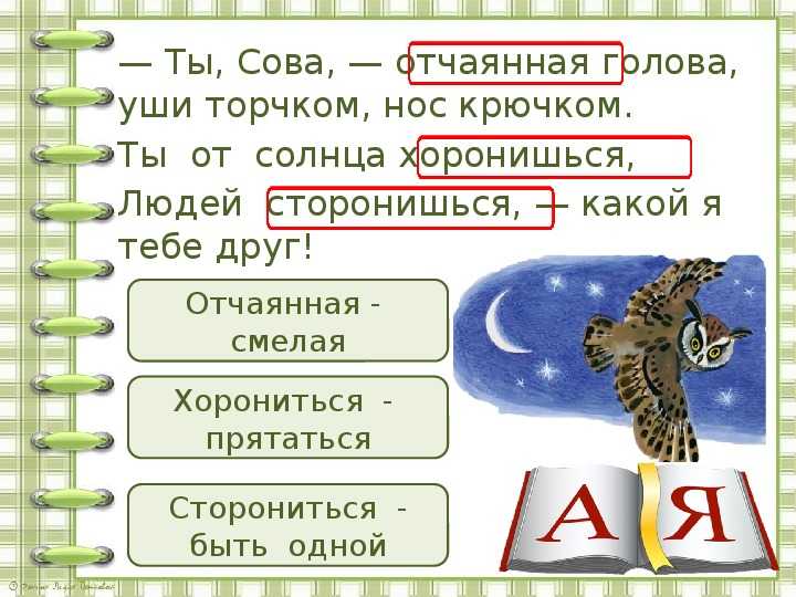 Сова — сказка виталия бианки