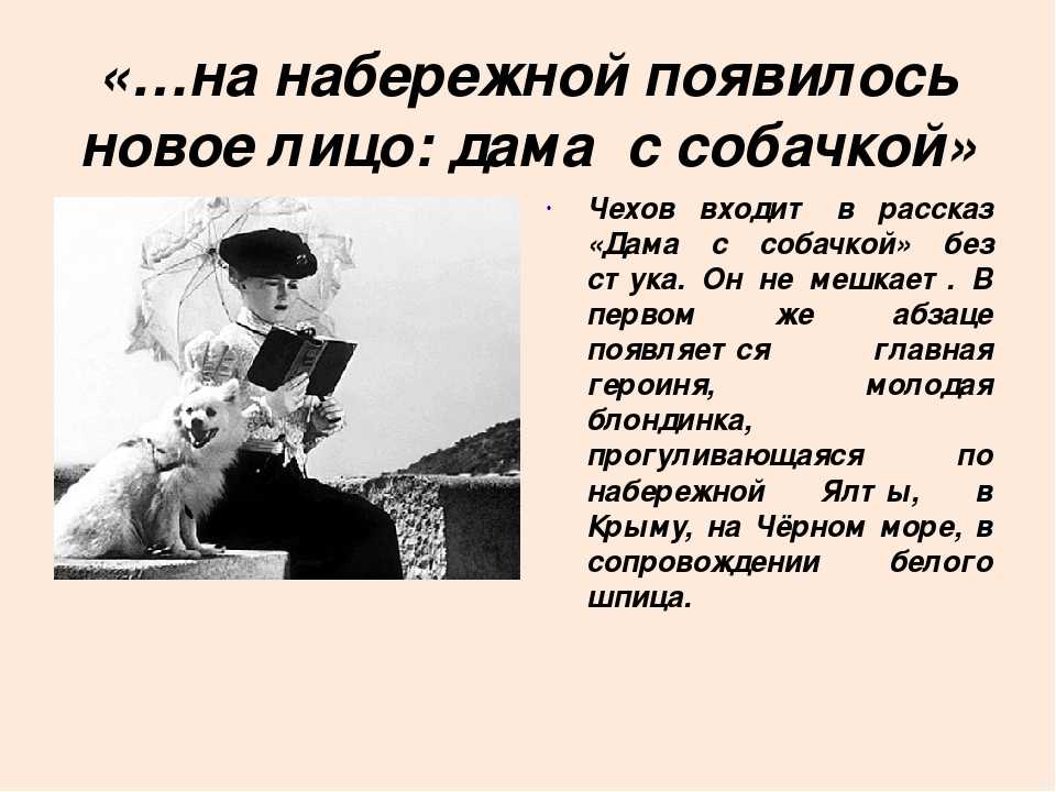 Анализ произведения чехова «дама с собачкой»